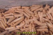 香肠工厂爆料视频,揭秘现代食品加工黑幕