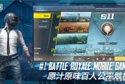 吃鸡新皮肤爆料最新免费,惊艳亮相引玩家热议