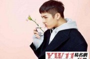 男男在线观看,揭秘男男在线观看现象