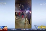 环球华人爆料事件视频下载,揭秘事件真相
