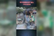 鹤轩身世爆料视频,一段传奇的诞生